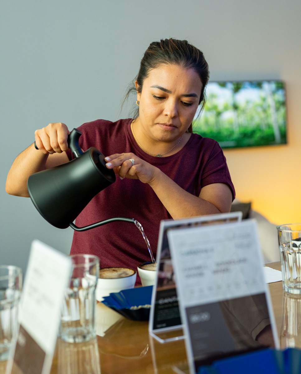Aufgießen der Cupping-Schalen