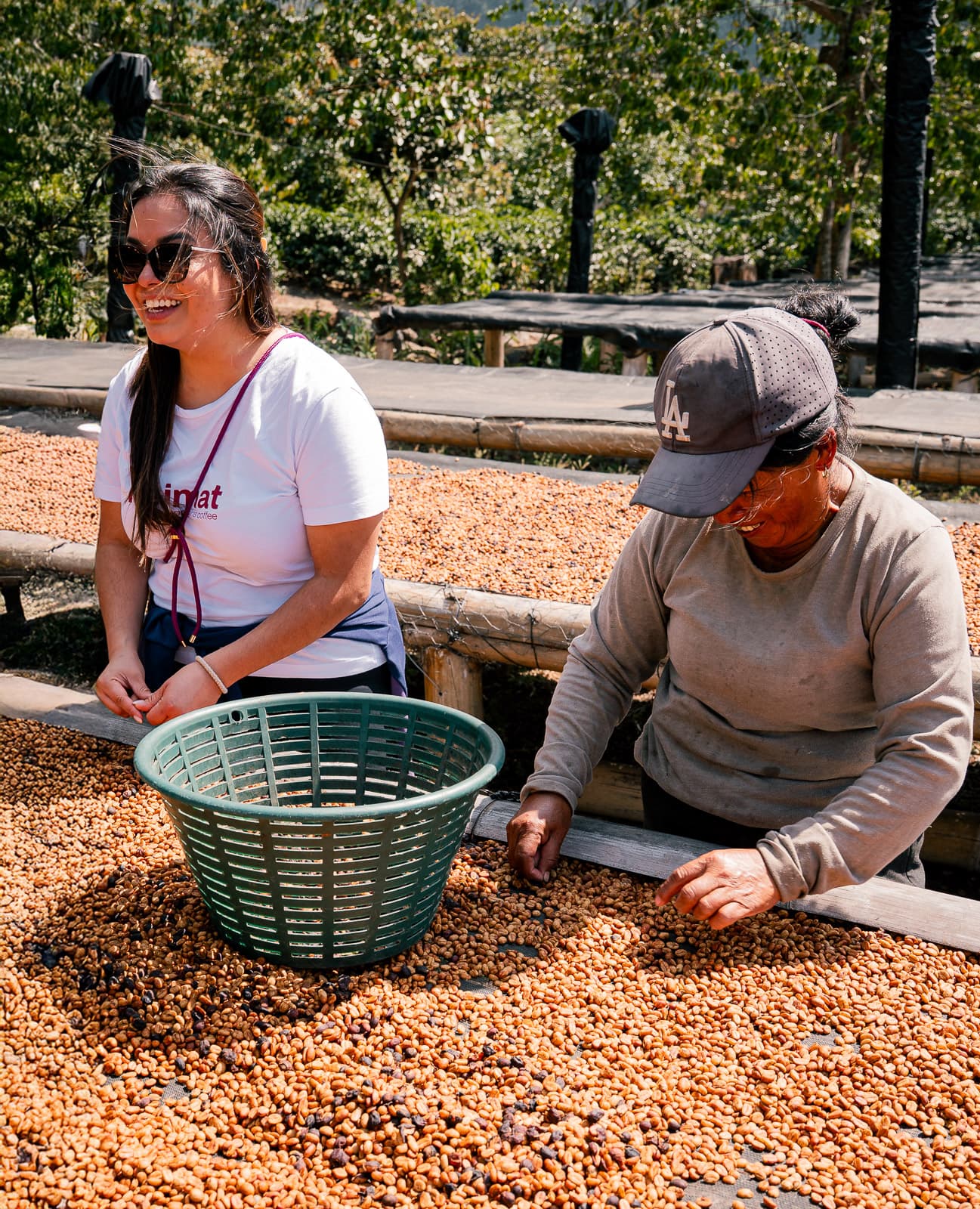 Gründerin und lokale Arbeiterin sortieren Kaffeebohnen gemeinsam
