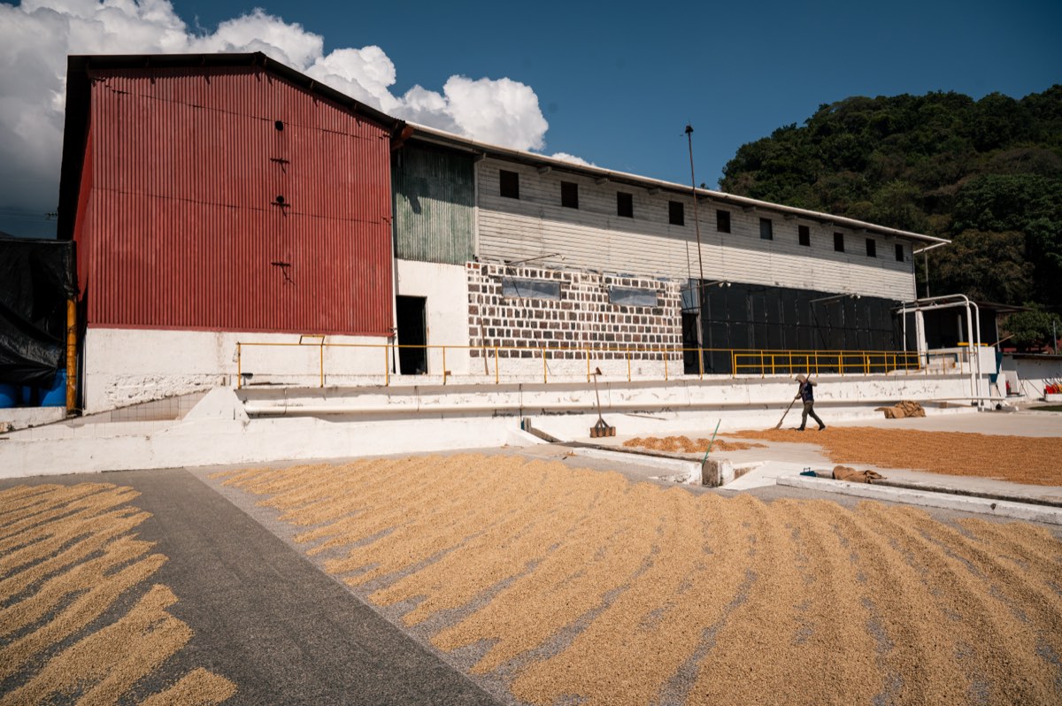 Trocknungsanlage mit Arbeiter