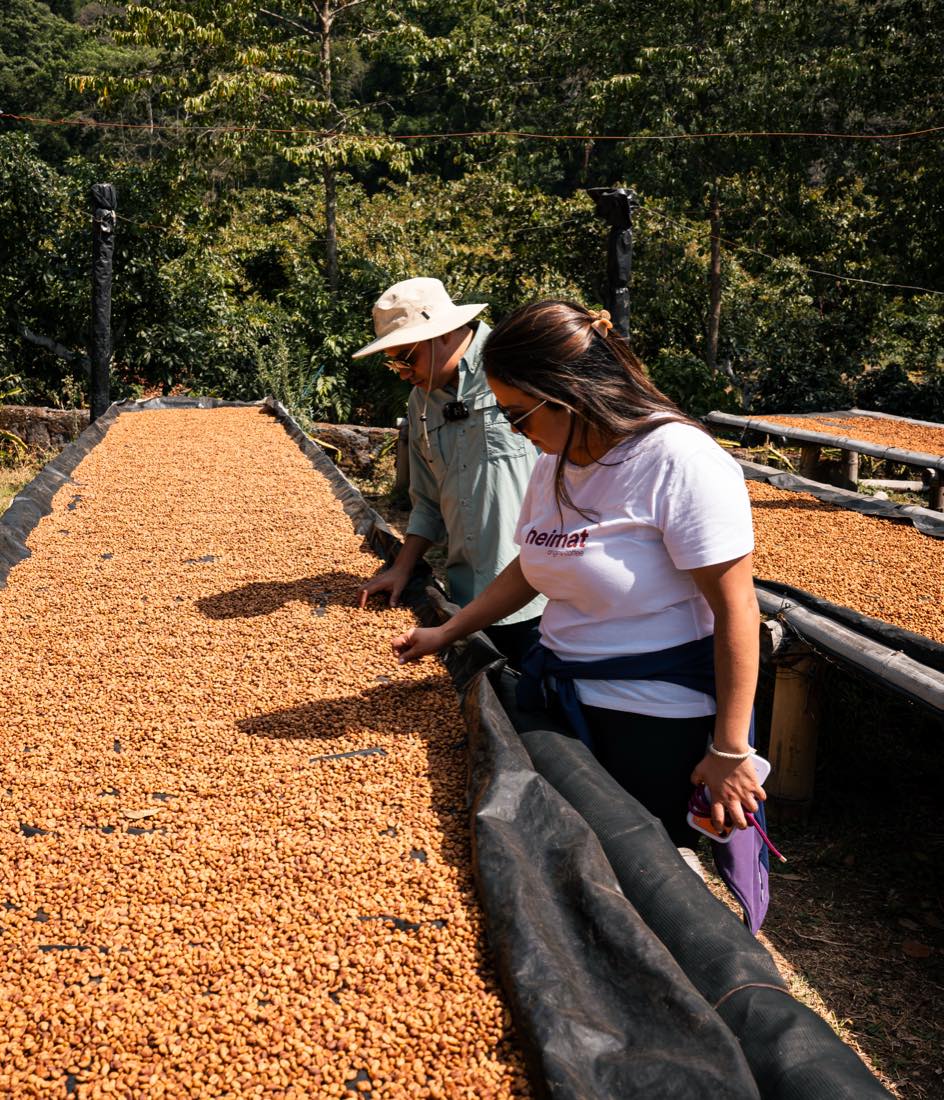 Gründerin prüft Trockengut auf der Finca