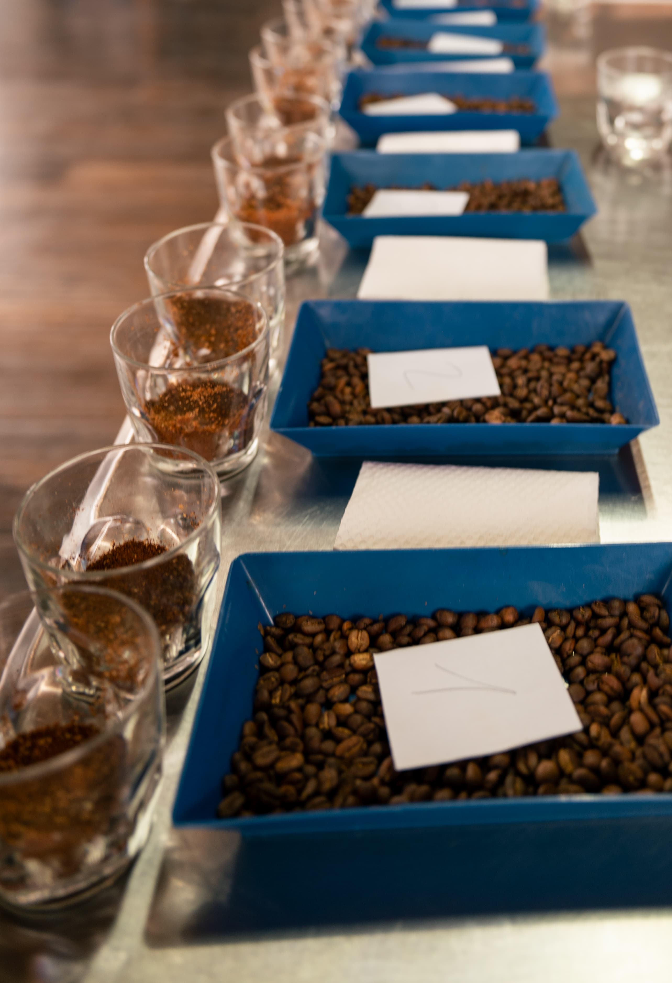 Cupping-Setup mit Kaffeebohnen und Gläsern
